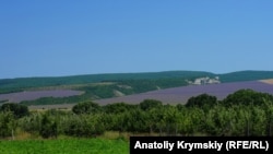 Там, за Бахчисараем: лавандовая пора на горных склонах Качи (фотогалерея)