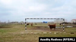 Aranlı kəndində idman meydançası